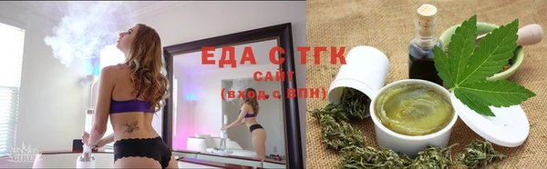 гидра Кодинск