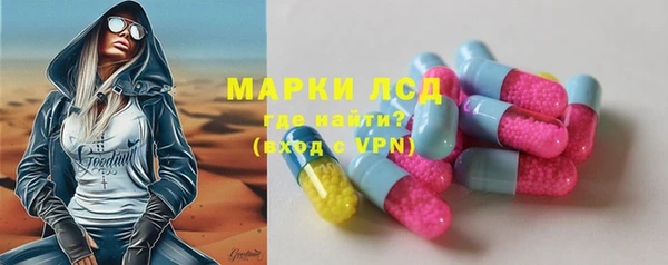 гидра Кодинск