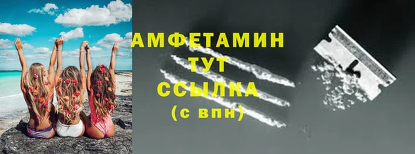 гидра Кодинск