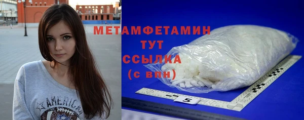 гидра Кодинск