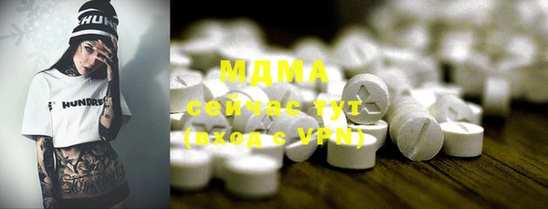 гидра Кодинск