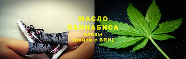 гидра Кодинск