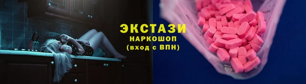 гидра Кодинск