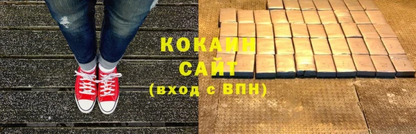 гидра Кодинск