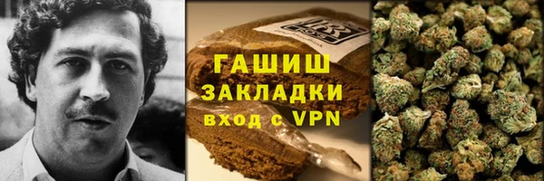 гидра Кодинск