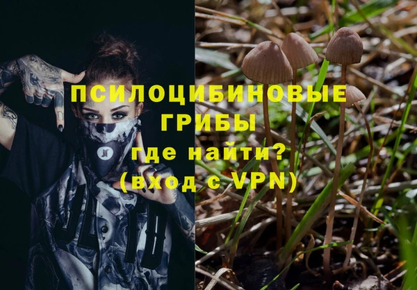 гидра Кодинск