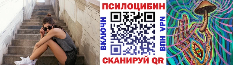 Купить где  Каргат  Псилоцибиновые грибы мицелий 